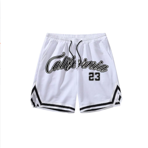 Men's mesh beach shorts